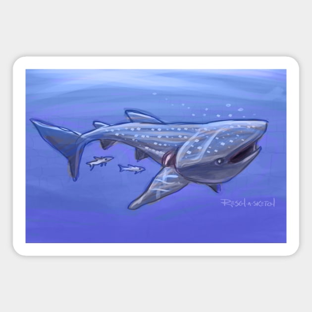 Whale Shark Sketch Magnet by Dustin Resch